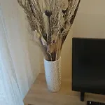 Iris Deluxe 1 Apartmán Kavala