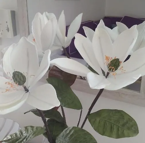 Iris Deluxe 1 Kavala