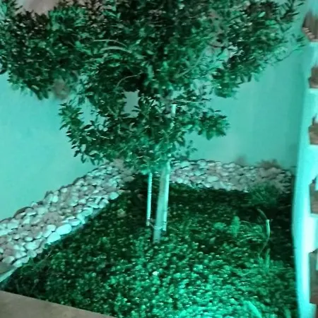 Iris Deluxe 1 Apartment