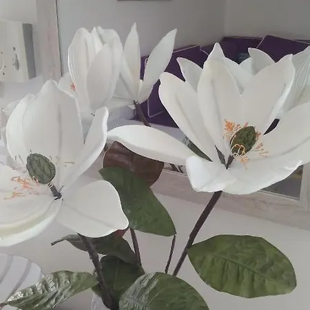 Iris Deluxe 1 Kavala