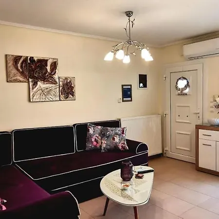 Iris Deluxe 1 *